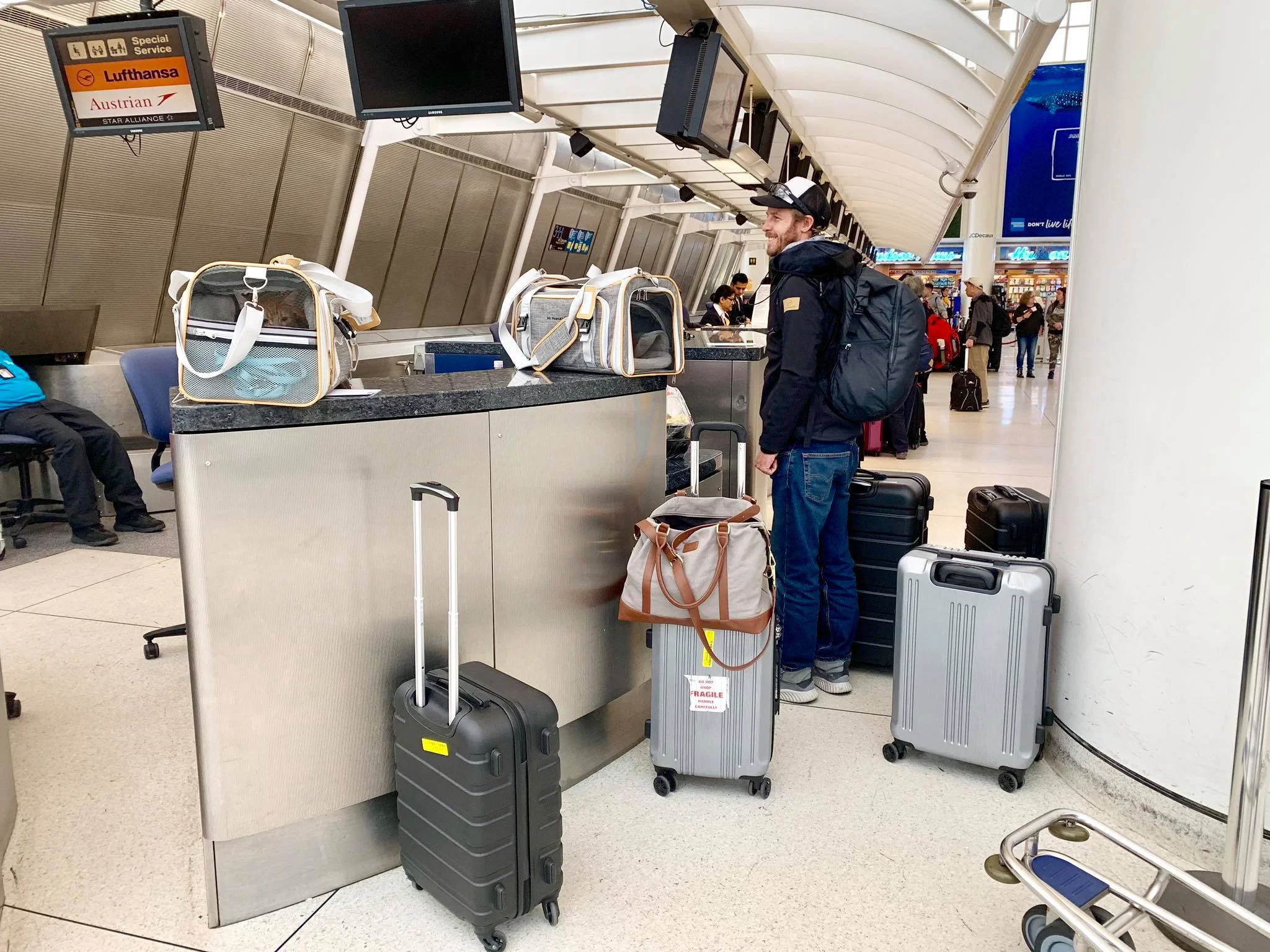 Life On The Road Day 19 Flying with our two cats from New York USA to Europe Frankfurt Germany with Lufthansa